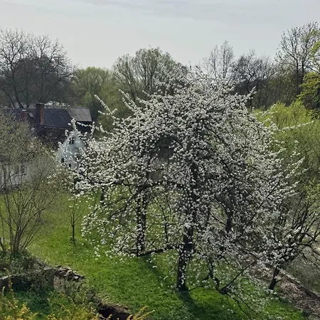 Slunecna Roubenka U Splavu Dvůr Králové nad Labem
