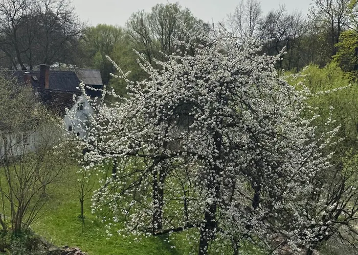 Slunecna Roubenka U Splavu Dvůr Králové nad Labem
